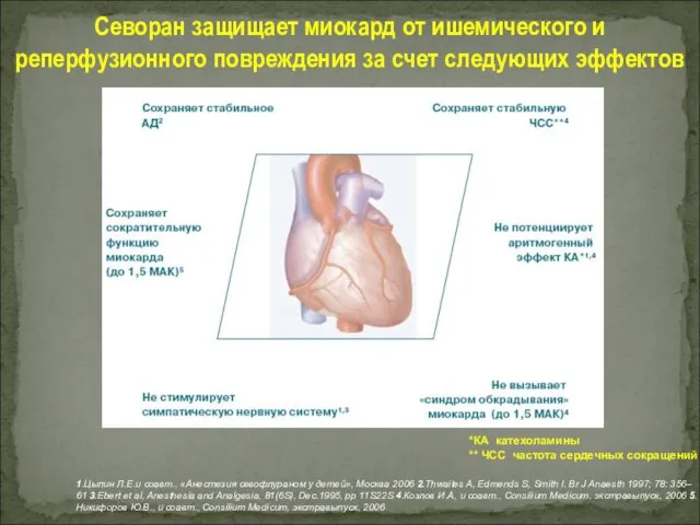 Севоран защищает миокард от ишемического и реперфузионного повреждения за счет следующих