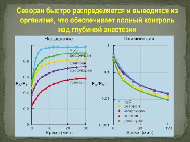 Севоран быстро распределяется и выводится из организма, что обеспечивает полный контроль над глубиной анестезии