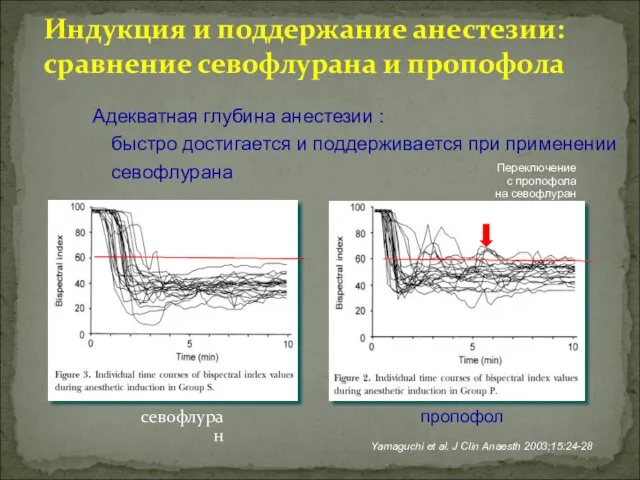 Адекватная глубина анестезии : быстро достигается и поддерживается при применении севофлурана