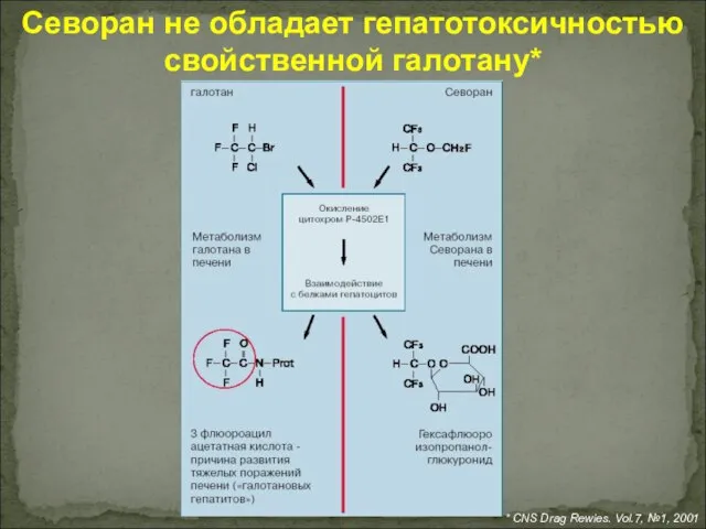 Севоран не обладает гепатотоксичностью свойственной галотану* * CNS Drag Rewies. Vol.7, №1, 2001