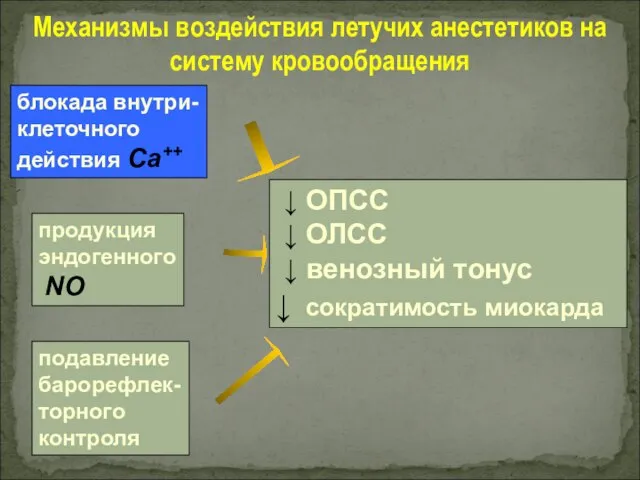 Механизмы воздействия летучих анестетиков на систему кровообращения ↓ ОПСС ↓ ОЛСС