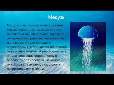 Медузы Медузы – это одни из самых древних живых существ, которые