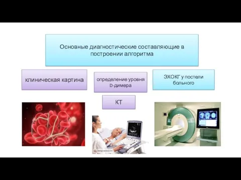 Основные диагностические составляющие в построении алгоритма клиническая картина определение уровня D-димера ЭХОКГ у постели больного КТ