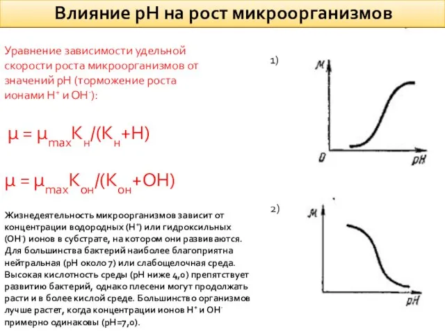 Влияние рН на рост микроорганизмов 1) 2) Уравнение зависимости удельной скорости