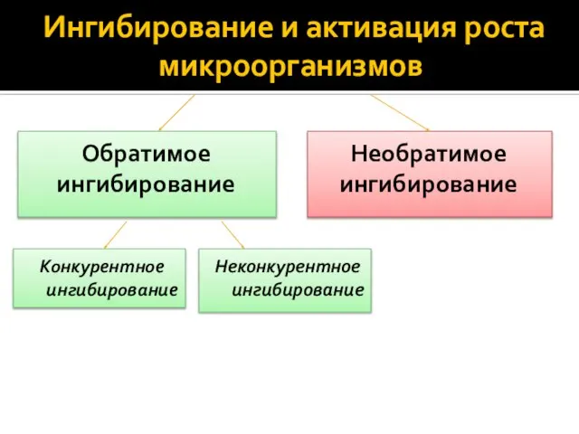 Ингибирование и активация роста микроорганизмов Конкурентное ингибирование Обратимое ингибирование Неконкурентное ингибирование Необратимое ингибирование