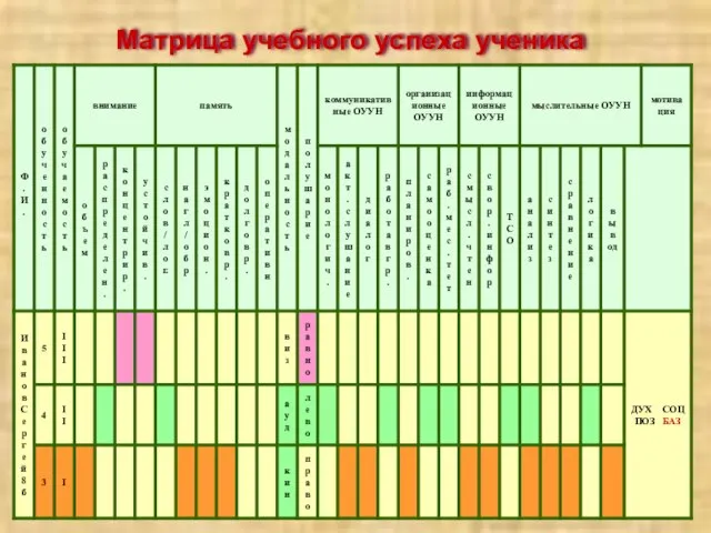 Матрица учебного успеха ученика