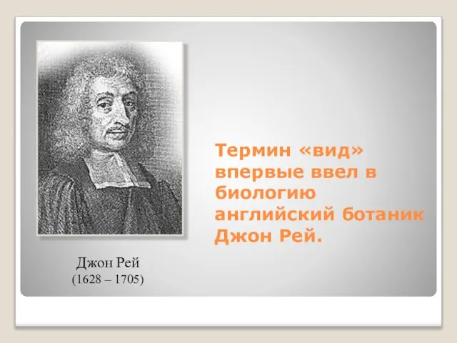 Термин «вид» впервые ввел в биологию английский ботаник Джон Рей. Джон Рей (1628 – 1705)