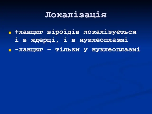 Локалізація +ланцюг віроїдів локалізується і в ядерці, і в нуклеоплазмі -ланцюг – тільки у нуклеоплазмі