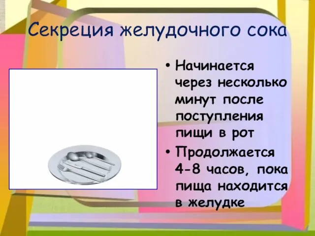 Секреция желудочного сока Начинается через несколько минут после поступления пищи в