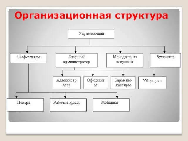 Организационная структура