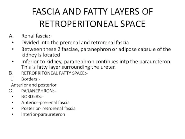 FASCIA AND FATTY LAYERS OF RETROPERITONEAL SPACE Renal fascia:- Divided into