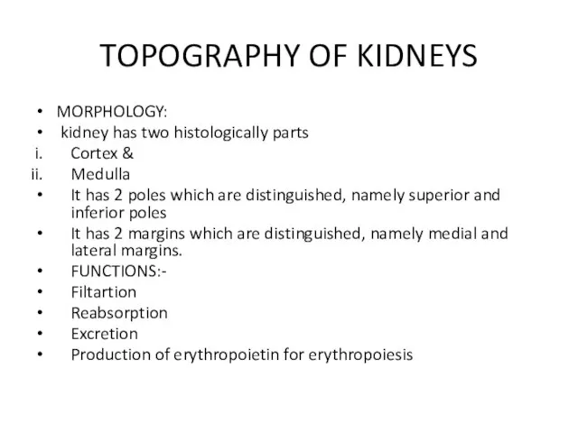 TOPOGRAPHY OF KIDNEYS MORPHOLOGY: kidney has two histologically parts Cortex &
