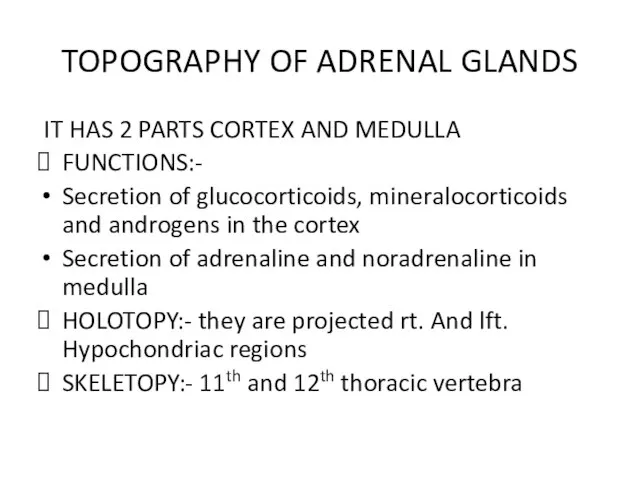 TOPOGRAPHY OF ADRENAL GLANDS IT HAS 2 PARTS CORTEX AND MEDULLA