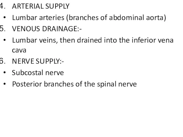 ARTERIAL SUPPLY Lumbar arteries (branches of abdominal aorta) VENOUS DRAINAGE:- Lumbar