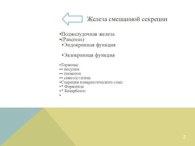 Поджелудочная железа (Pancreas) Эндокринная функция Экзокринная функция Гормоны: ▪ инсулин ▪