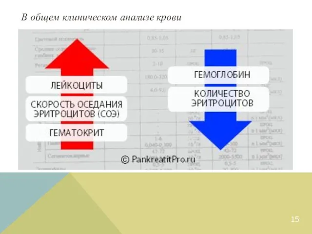 В общем клиническом анализе крови