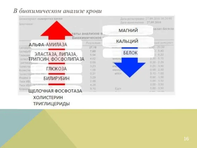 В биохимическом анализе крови