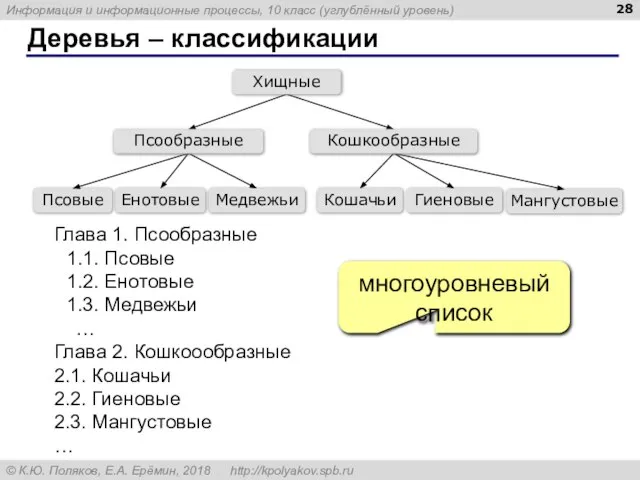 Деревья – классификации Глава 1. Псообразные 1.1. Псовые 1.2. Енотовые 1.3.