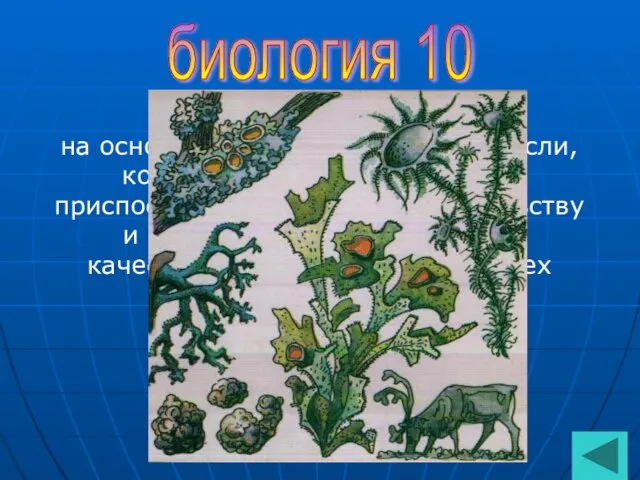 биология 10 Это сложный организм на основе симбиоза гриба и водоросли,