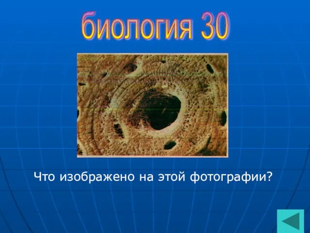 биология 30 Что изображено на этой фотографии?