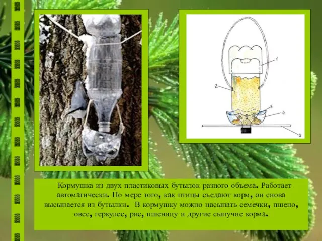 Кормушка из двух пластиковых бутылок разного объема. Работает автоматически. По мере