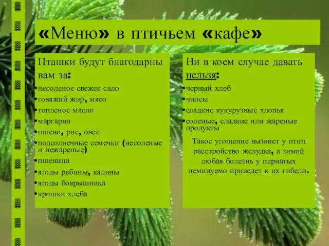 «Меню» в птичьем «кафе» Пташки будут благодарны вам за: несоленое свежее