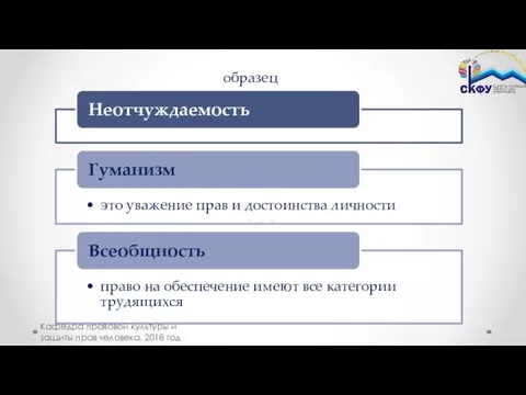 образец Кафедра правовой культуры и защиты прав человека, 2018 год