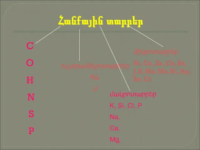 Հանքային տարրեր C O H N S P ուլտրամիկրոտարրեր Ra, U