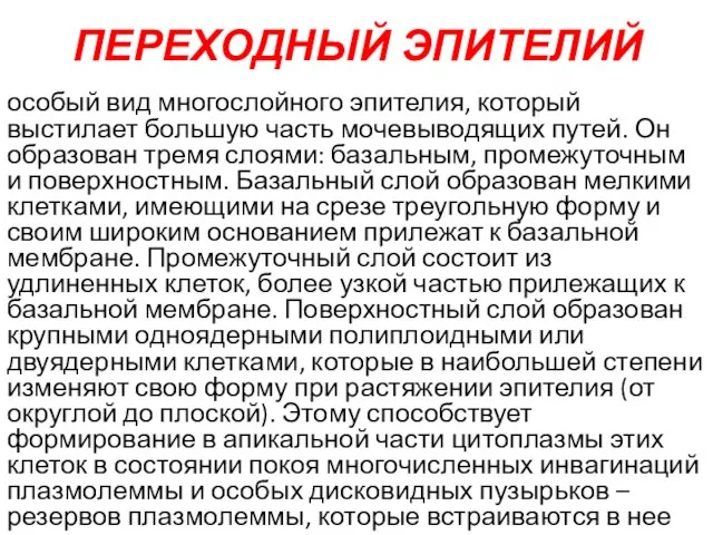 ПЕРЕХОДНЫЙ ЭПИТЕЛИЙ особый вид многослойного эпителия, который выстилает большую часть мочевыводящих