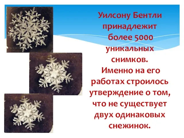 Уилсону Бентли принадлежит более 5000 уникальных снимков. Именно на его работах