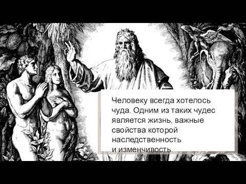 Человеку всегда хотелось чуда. Одним из таких чудес является жизнь, важные свойства которой наследственность и изменчивость.