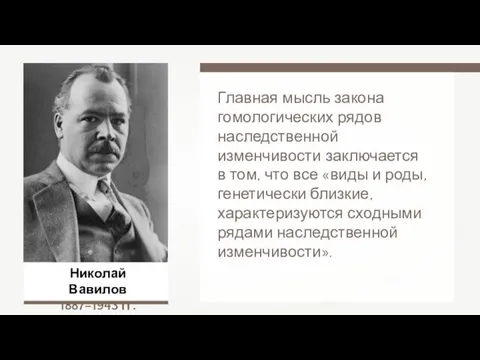 Николай Вавилов 1887–1943 гг. Главная мысль закона гомологических рядов наследственной изменчивости