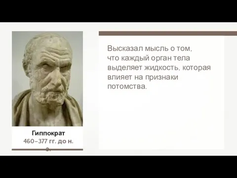 Гиппократ 460–377 гг. до н.э. Высказал мысль о том, что каждый