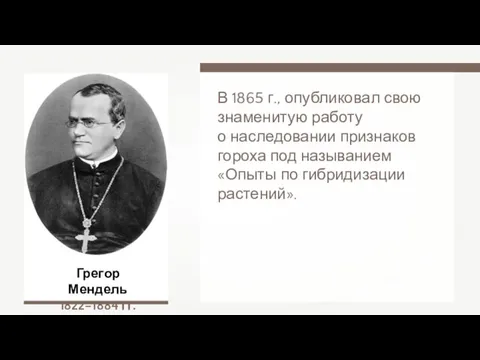 Грегор Мендель 1822–1884 гг. В 1865 г., опубликовал свою знаменитую работу