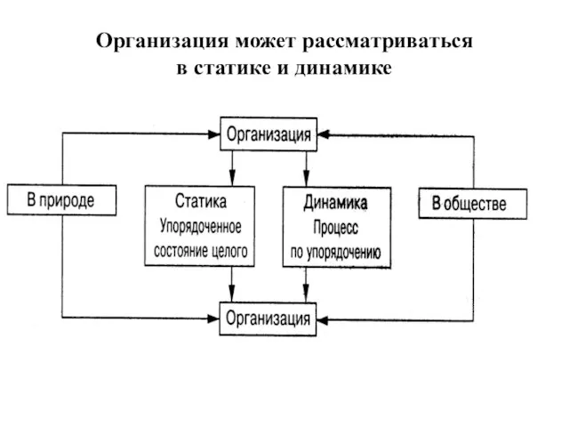 Организация может рассматриваться в статике и динамике