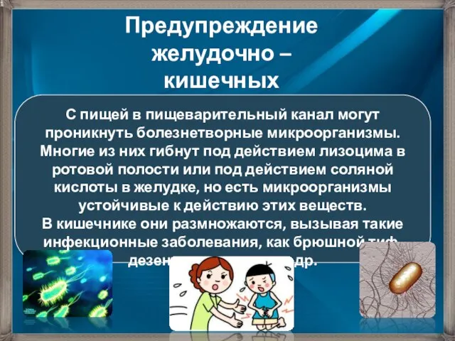 Предупреждение желудочно – кишечных заболеваний. С пищей в пищеварительный канал могут