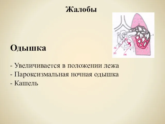 Жалобы Одышка - Увеличивается в положении лежа - Пароксизмальная ночная одышка - Кашель