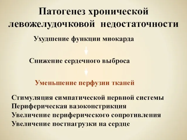 Патогенез хронической левожелудочковой недостаточности Уменьшение перфузии тканей Стимуляция симпатической нервной системы