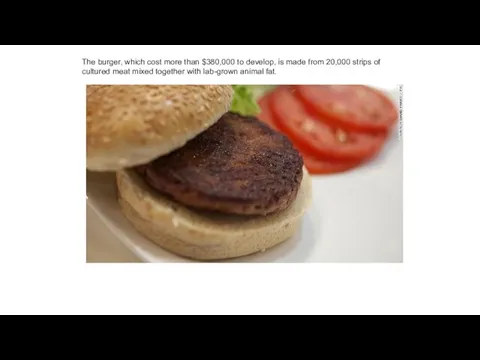 The burger, which cost more than $380,000 to develop, is made