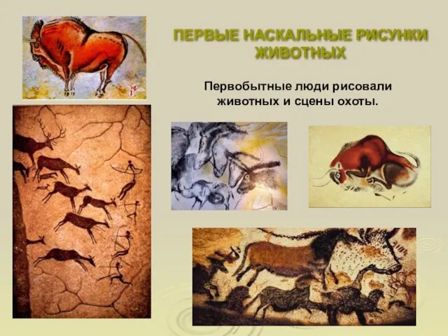 ПЕРВЫЕ НАСКАЛЬНЫЕ РИСУНКИ ЖИВОТНЫХ Первобытные люди рисовали животных и сцены охоты.