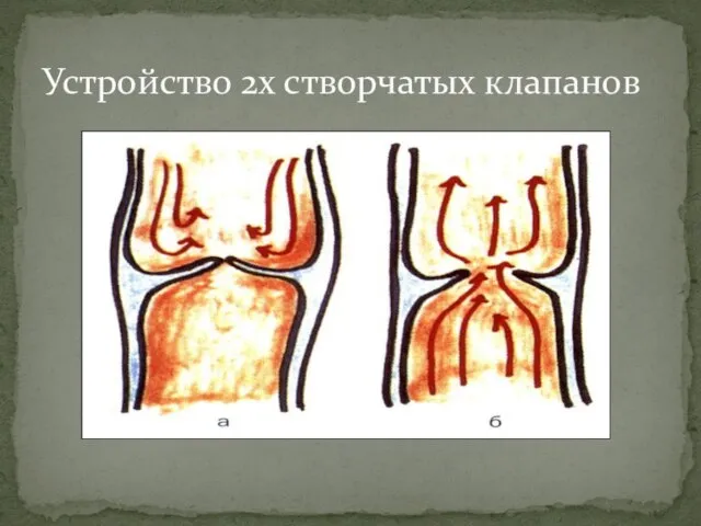 Устройство 2х створчатых клапанов