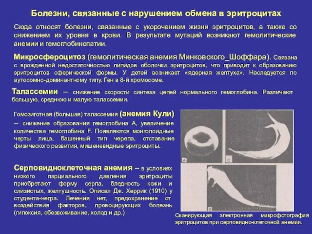 Болезни, связанные с нарушением обмена в эритроцитах Сюда относят болезни, связанные