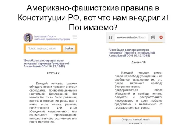 Американо-фашистские правила в Конституции РФ, вот что нам внедрили! Понимаемо?