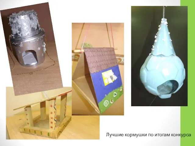 Лучшие кормушки по итогам конкурса