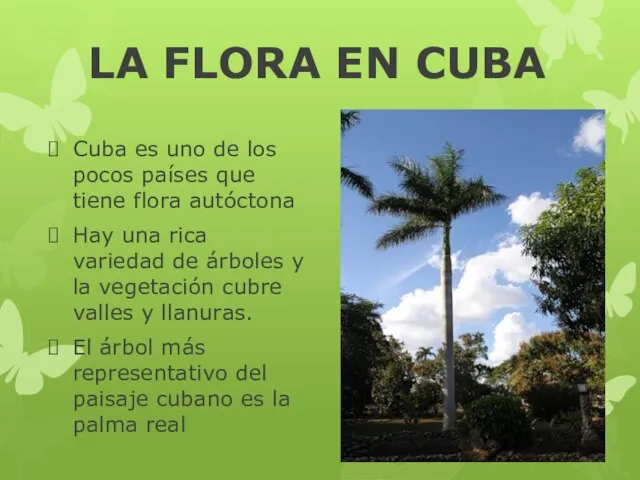 LA FLORA EN CUBA Cuba es uno de los pocos países