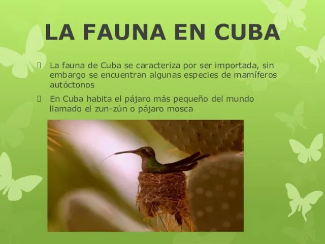 LA FAUNA EN CUBA La fauna de Cuba se caracteriza por