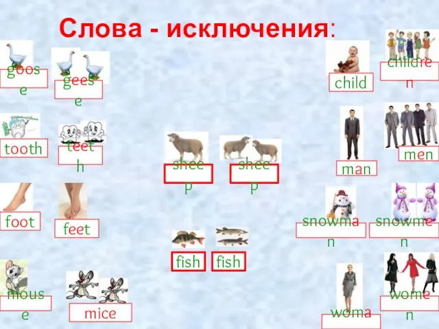 Слова - исключения: goose feet foot mice mouse child children man