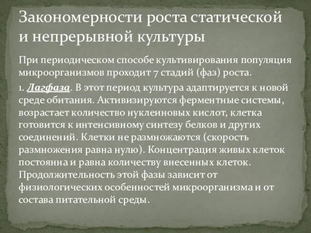 При периодическом способе культивирования популяция микроорганизмов проходит 7 стадий (фаз) роста.