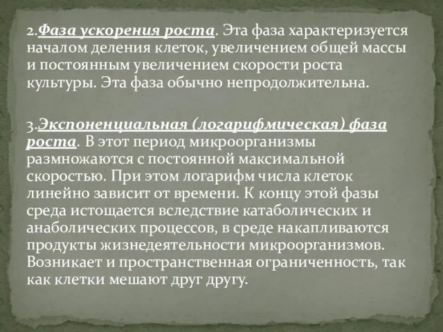 2.Фаза ускорения роста. Эта фаза характеризуется началом деления клеток, увеличением общей