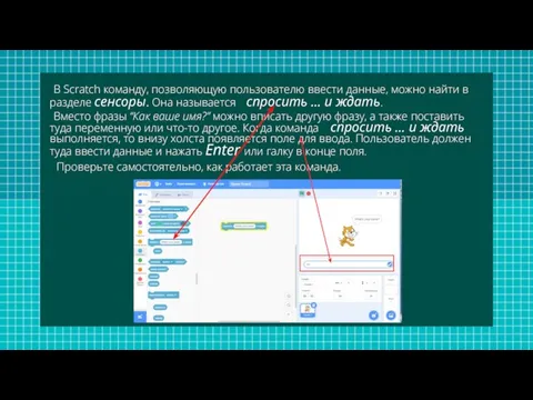 В Scratch команду, позволяющую пользователю ввести данные, можно найти в разделе